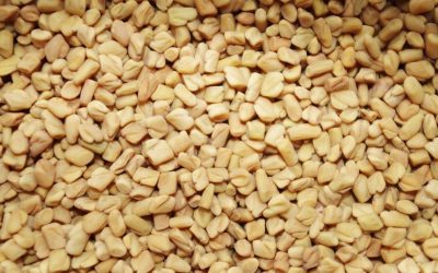 16 Health Benefits of Fenugreek That Will Surprise You
