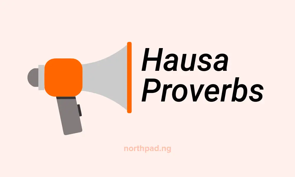 100+ Hausa Proverbs (Karin Magana) Full of Wisdom