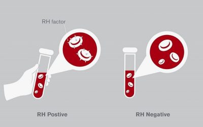 This Is What You Need to Know About Rh Factor