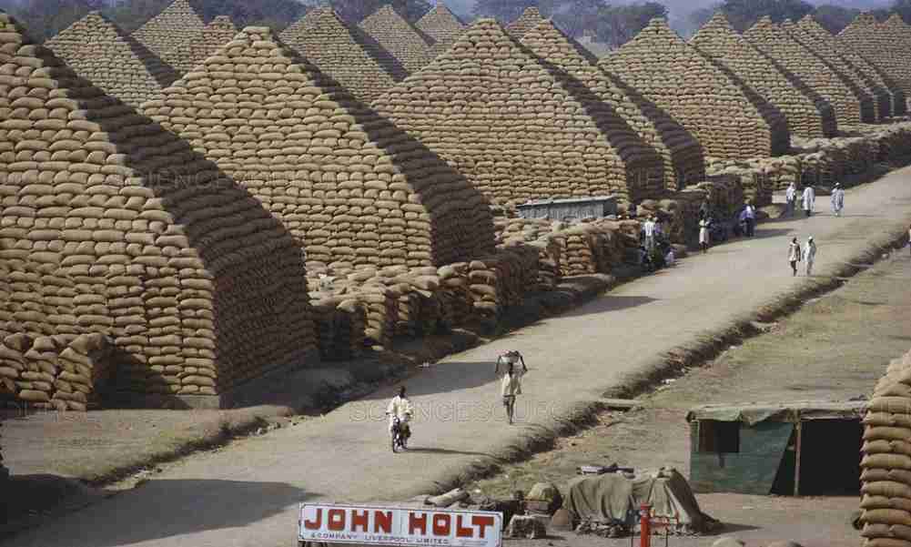Why the Famous Groundnut Pyramids in Kano are No Longer Functional