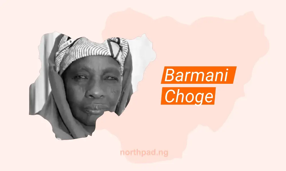 Biography of the Most Popular Female Hausa Musician, Barmani Choge