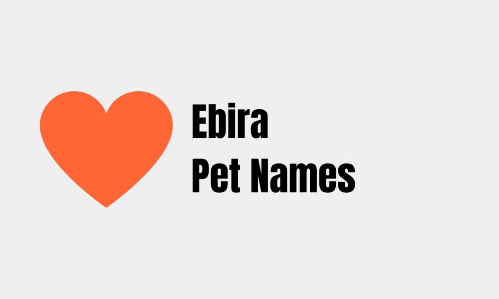 Ebira Pet Names That Will Gladden Your Partners Heart