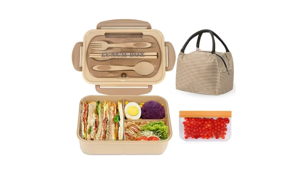 lunch box or boxes lunch
